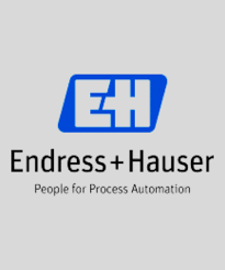 Endress+Hauser